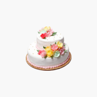 Two Layered Vanilla Cake